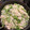meimei3300's cooksnap of when they made 金兵衛風☆しらたきとたらこの炒め物.