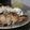ダイナマイト漆黒's cooksnap of when they made 漬けて焼くだけ♫豚ロースみそ漬け焼き.
