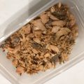 ゆうこうさく's cooksnap of when they made 自家製鮭フレーク.