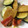 mantacarp's cooksnap of when they made 簡単！ズッキーニときのこのマヨ炒め.
