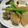 tubakix's cooksnap of when they made まぐろ大根.