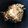 ばやし's cooksnap of when they made ほうれん草となめたけの白和え.