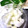 ちょこふみ's cooksnap of when they made 冬瓜(姫冬瓜、ミニ冬瓜）の簡単な切り方.