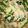 クックV5WIEJ☆'s cooksnap of when they made ほうれん草の納豆入り白和え.