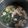 のの。's cooksnap of when they made 時短！簡単！ちくわのお味噌汁♪.