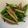 MapiSapi's cooksnap of when they made 肴に最高！オクラと茗荷の甘辛バター炒め.