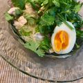 クイーンアリス's cooksnap of when they made ノンオイル。鶏塩ネギパクチーそうめん.