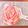 kana_mimi❁'s cooksnap of when they made インスタ映え♡薔薇のアップルパイ.