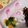4double5's cooksnap of when they made かまぼこママ第一号かまぼこうさぎ飾りきり.