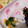 4double5's cooksnap of when they made かまぼこママ第一号かまぼこうさぎ飾りきり.