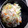 KT614's cooksnap of when they made 鍋より簡単♪豚肉と野菜蒸し鍋.