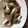 クックM5ZNR8☆'s cooksnap of when they made 簡単&楽チン つぶ貝煮付け おつまみ.