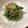 ubugirl's cooksnap of when they made ヒユナ（バイアム）のじゃこ炒め.