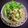 ひさかた's cooksnap of when they made 夏野菜のレバノン風タブレ.