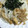 ちゃぎー's cooksnap of when they made ごまだれ素麺♪簡単そうめんのつゆ作り方.