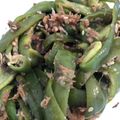 クックS4KDNE☆'s cooksnap of when they made ５分で緑の一品 ピーマンおかか和え 時短.