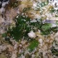 さくここみわ's cooksnap of when they made 超低カロリー♪なめこと卵白の中華風スープ.