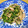 パパの手料理☆'s cooksnap of when they made 豆苗と魚肉ソーセージとえのき茸のバタポン.