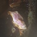 クックPBPW9I☆'s cooksnap of when they made 煮豚.