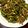 えりマム's cooksnap of when they made いんげん豆のカレーソテー.