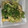 カニーヘン's cooksnap of when they made たまごとレタスの炒め物.