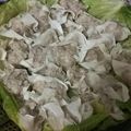 たろう713's cooksnap of when they made フライパンで簡単⁂豚と玉ねぎのシュウマイ.
