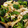 ぴいかん's cooksnap of when they made *簡単本格☆イカとピーマンのオイスタ炒め.