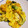 いかめし321's cooksnap of when they made 南瓜とささ身のサラダ.