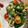 shiirao's cooksnap of when they made ほうれん草とトマトのツナ炒め.