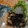 mimin0129's cooksnap of when they made 麺つゆでめーっちゃ簡単❤️茄子の揚げ煮.