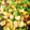 クックM1GIZX☆'s cooksnap of when they made 冷凍唐揚げで！茄子いっぱいの簡単酢鶏.