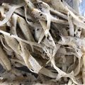 りゅうと健康隊長's cooksnap of when they made ごぼうと人参のサラダ.
