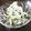 モジャ時々ツルツル's cooksnap of when they made 作り置き 大根とシソのサラダ.