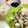 Nya6nya6's cooksnap of when they made 炊飯器だけ！我が家のカオマンガイ.