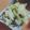 まりえmy's cooksnap of when they made こんぶとキャベツのおつまみ浅漬け.