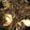 クックQD81I1☆'s cooksnap of when they made もずく酢みたいな！？もずくの天ぷら.