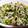 クックGSGA5F☆'s cooksnap of when they made 大根の葉とちりめんじゃこのごま油炒め.