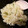mystory198's cooksnap of when they made しらすとみょうがの簡単ご飯☆.