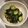 クックXLS5X4☆'s cooksnap of when they made 蛇腹胡瓜の塩こんぶ和え☆.