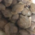 ma___111's cooksnap of when they made ⭐️ ヘルシーで美味しい砂肝の旨辛炒め！.