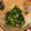 クック6X5QCV☆'s cooksnap of when they made 胡瓜の酢の物.