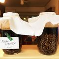 整うごはん's cooksnap of when they made 発酵調味料「ひしお」のつくり方.