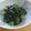 柊さくら's cooksnap of when they made さっぱりオクラとモロヘイヤ和え.