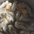 マリアマリママ's cooksnap of when they made 鶏手羽元のさっぱり煮.