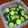 クックVOY1Q3☆'s cooksnap of when they made 簡単 塩麹とキュウリだけ、の浅漬け.