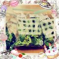 さっちゃーーーん's cooksnap of when they made 保存＊レンジde冷凍ブロッコリー.