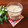 キョーマキ's cooksnap of when they made おうちで簡単☆アイスカフェモカ.
