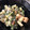 かぴーな's cooksnap of when they made 梅干しとチーズときゅうりのマヨサラダ.