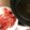 ＃もこ's cooksnap of when they made すき焼きの割り下.