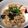 古式ムエタイ's cooksnap of when they made 玉ねぎと豚肉の甘辛丼.